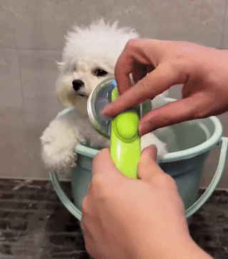 MauGroom™ - Pet Brush