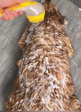 MauGroom™ - Pet Brush