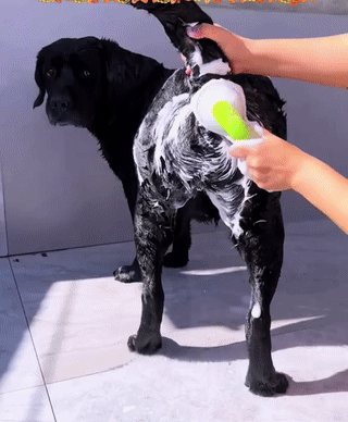 MauGroom™ - Pet Brush