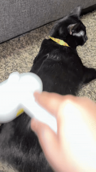 MauBrush™ Spray Pet Brush